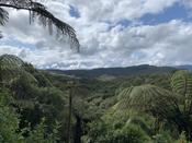 Waimangu Volcanic Valley, Nordinsel Neuseelands